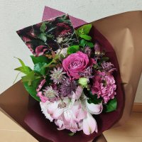 あちゃぴー (@achapi29) 's Twitter Profile