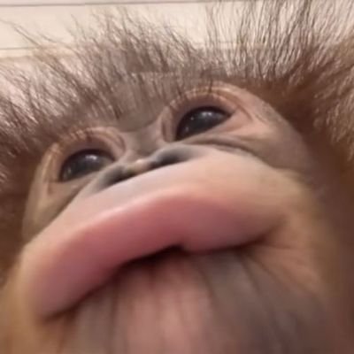 kanueven's profile picture. Vert