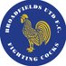 Broadfields United (@BroadfieldsUtd) Twitter profile photo