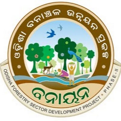 BoudhDMU's profile picture. 