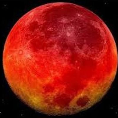 phamlinh0202's profile picture. Tin tức thời sự và thị trường crypto