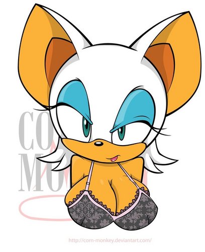 Hi I'm Rouge the Bat! I am the worlds greatest jewel thief, and I've been told I'm pretty good lookin; too ;)