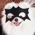 Kira (@kirillzhycka) Twitter profile photo Kira (@kirillzhycka) Twitter profile photo