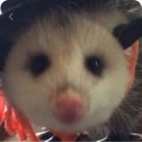 Actually an Opossum ΘΔ(@YPSILOE) 's Twitter Profileg