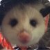 Actually an Opossum ΘΔ (@YPSILOE) Twitter profile photo