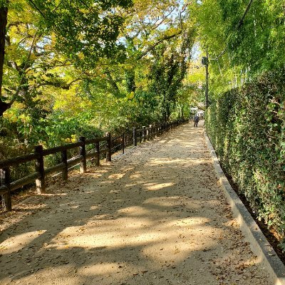 yodakahiyoko's profile picture. マダミスとかTRPG報告用アカウント。誘われたら翼ブン回して喜びます🐣
↓通過済みリスト