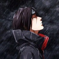 Naveen⚛️ (@naveenm16211565) 's Twitter Profile