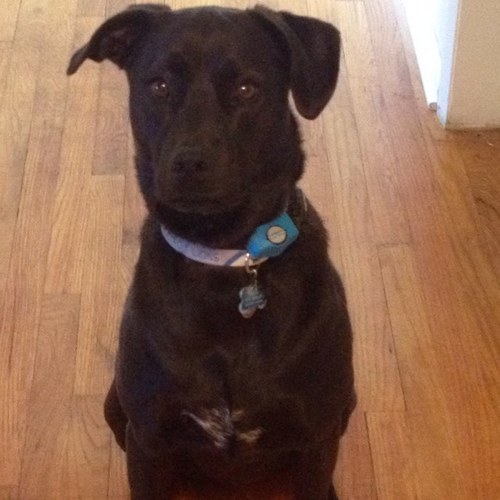 ja_kennedy's profile picture. 