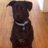 ja_kennedy's profile image