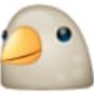 Sami170122's profile picture. nothing to say