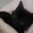 msys_te's profile image