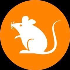 Brc20_Rats_Army's profile picture. 🐭RatsOfficial    🐭中文社区TG https://t.co/mytxlZhVac,  🐭English TG  https://t.co/Cdvgw7xlES