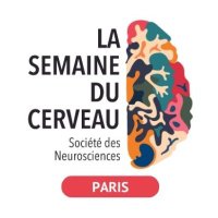 Semaine du Cerveau - Paris 🧠(@SemaineCerveau) 's Twitter Profile Photo