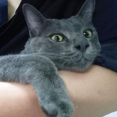 Karamonn's profile picture. Happiness is experimenting in the kitchen ❤🍳