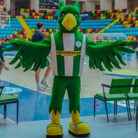 green (@greenmaskot) Twitter profile photo