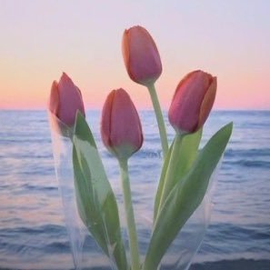 GullZealous's profile picture. Well me not so special