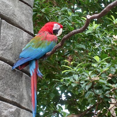 PrairieCoastArt's profile picture. 