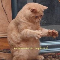 Pooaaa9901 (@pooaaa9901) 's Twitter Profile