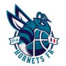 HornetsFR's profile picture. Compte Twitter 🇫🇷 des Charlotte Hornets (#NBA) 🏀  Bienvenue dans la ruche #LetsFly 🐝 mail: hornetsfr3@gmail.com