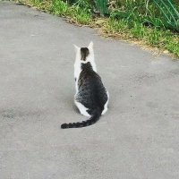 .... (@c1783583) 's Twitter Profile