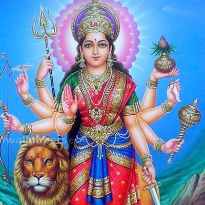 MLsushisamba's profile picture. 🇯🇲🎸Rockin’ in a free world