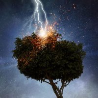 LightningTrades (@lightningtrad3s) 's Twitter Profile