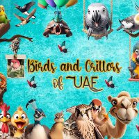Birds and Critters of UAE(@BirdsofUAE) 's Twitter Profile Photo