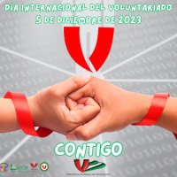 Plataforma del Voluntariado de Málaga(@Volunta_Malaga) 's Twitter Profile Photo