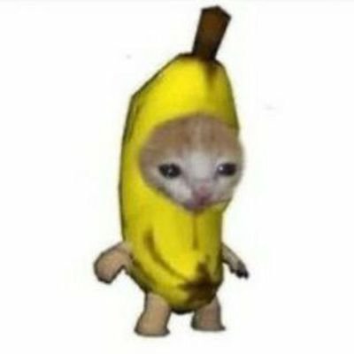 buriburixaimom's profile picture. CRYPTO TRADER .
DONT TRUST ME .
DYOR .