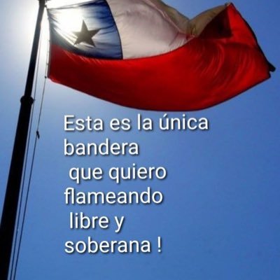 Ingeniero Patriota amo mi chile libre y querido, siempre por la derecha, fuera Comunistas de Chile y Pinochetista hasta la muerte.