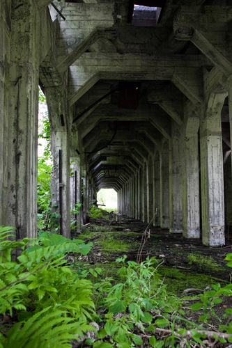 curry_curry_'s profile picture. 社会人2年目だ！！