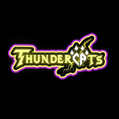 Official Twitter of the Cheer Athletics Plano  Thundercats Medium J4 💜 2020 NCA Champions 💜 2016 Summit Champions