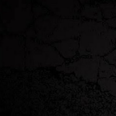 bitdoge10000's profile picture. 