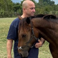 Ümit Bekmezci (@umitbekmezci) 's Twitter Profile