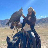 alex raisbeck (@donkeykongvevo) Twitter profile photo