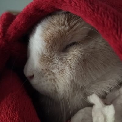 charliecc_64's profile picture. 