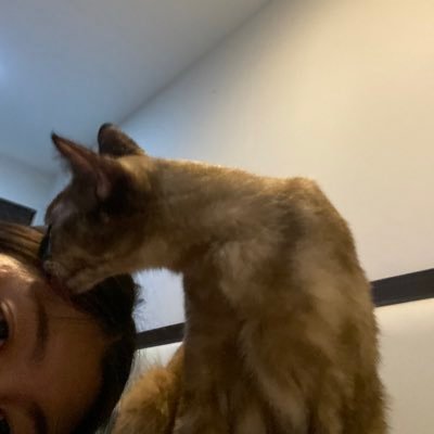 amoonchild17's profile picture. INFP | ไม่อยากเป็นคนเก่งแล้ว อยากเป็นคนรวย