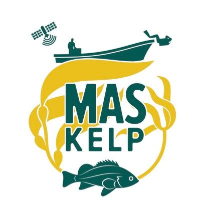 We are a non-profit organisation with the mission of protecting kelp forest ecosystems globally through science, capacity building and communication