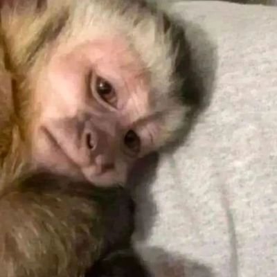 offmoreiraguido's profile picture. Não sendo feijão embaixo do arroz.