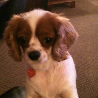 suetilson's profile picture. I love to read Fantasy/Paranormal/Supernatural & sub-categories. Reviewer & Beta Reader. I do nails, nail art & creating makes me happy. Will follow back 😁