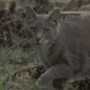 Violet Park - @park_viole74782 - Twitter