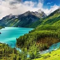 world war observation