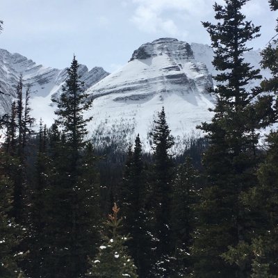 roblutzer1's profile picture. Calgary based.  Love the outdoors!