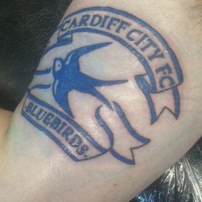 massive cardiff city fan , hate labour, fan die hard of cardiff city and babestaton tv