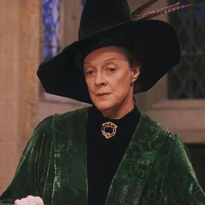 Ordem de Merlin, Primeira Classe, Professora de Transfiguração, Vice-Diretora da Hogwarts Wizarding School.
