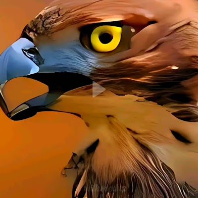 AbdielVald12104's profile picture. 