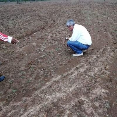 Diegotr29131045's profile picture. Catador de pizza, diseñador de cohetes, fotógrafo de Playboy, de Derecha y mas Uribista que Tomas, Jerónimoy doña Lina juntos! 3ra. Cuenta