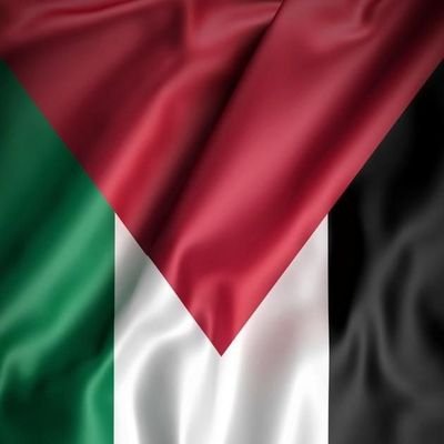 TheQuiet19's profile picture. Proud Moroccan, fierce Palestine supporter, crypto enthusiast.
₿ 🙌 DYOR BTD HODL WAGMI.