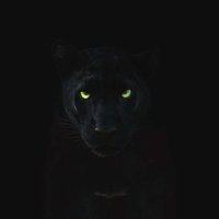 Neez (@neezmrgz) 's Twitter Profile Photo
