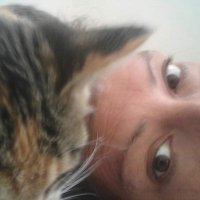 GatoV (@gato_vpv) 's Twitter Profile